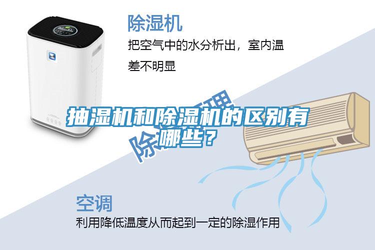 抽濕機和深夜福利视频网站的區別有哪些？
