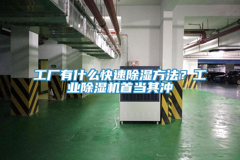 工廠有什麽快速除濕方法？工業深夜福利视频网站首當其衝