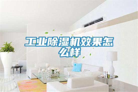 工業深夜福利视频网站效果怎麽樣
