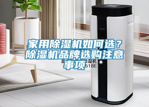 家用深夜福利视频网站如何選？深夜福利视频网站品牌選購注意事項