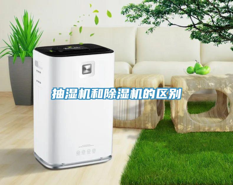 抽濕機和深夜福利视频网站的區別