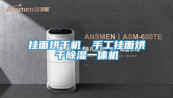 掛麵烘幹機，手工掛麵烘幹除濕一體機