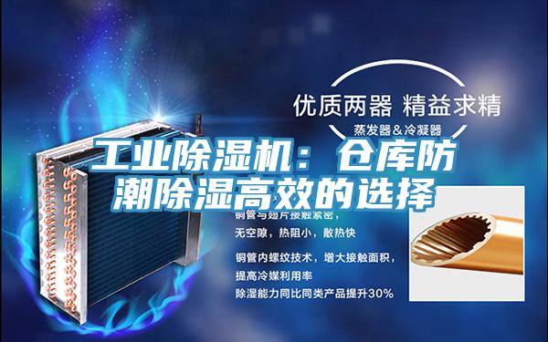 工業深夜福利视频网站：倉庫防潮除濕高效的選擇
