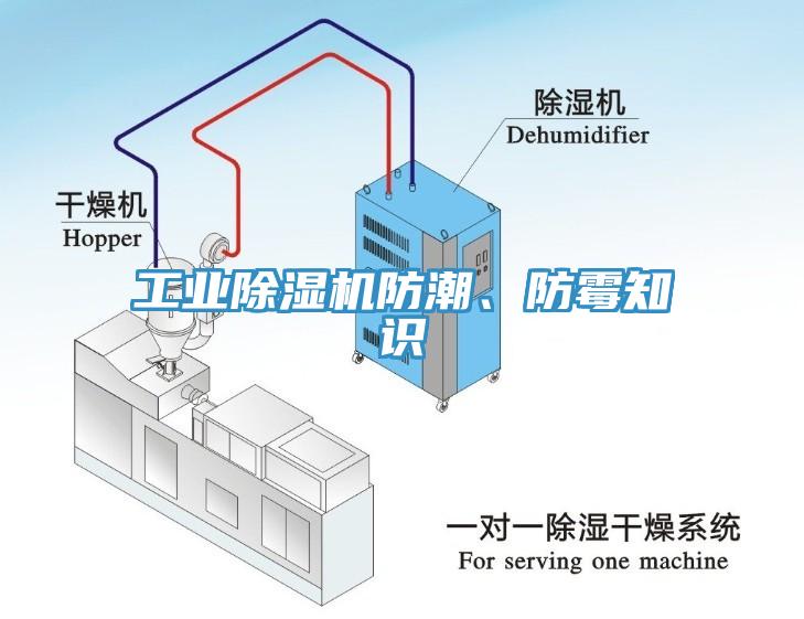 工業深夜福利视频网站防潮、防黴知識