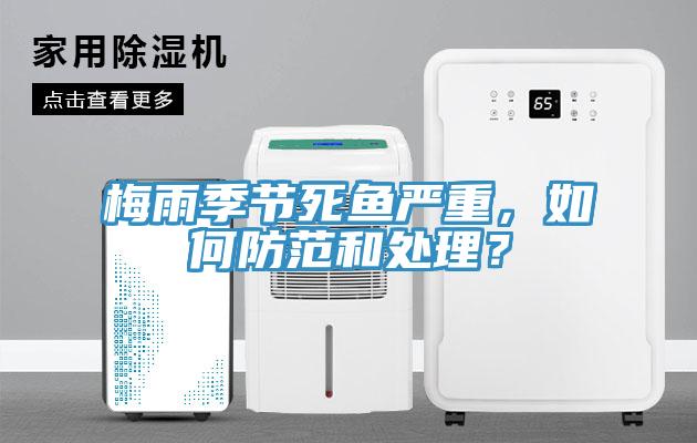 梅雨季節死魚嚴重，如何防範和處理？