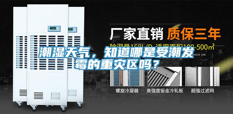 潮濕天氣，知道哪是受潮發黴的重災區嗎？