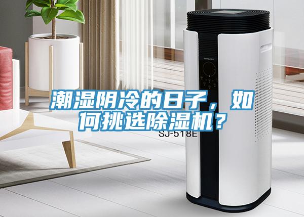 潮濕陰冷的日子，如何挑選深夜福利视频网站？