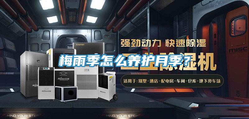梅雨季怎麽養護月季？