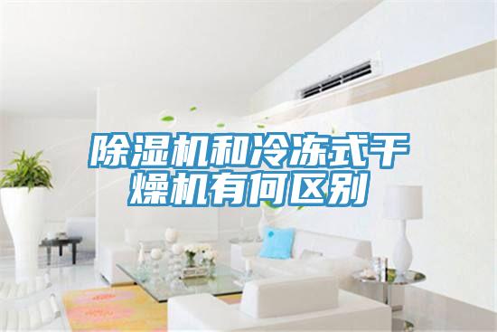 深夜福利视频网站和冷凍式幹燥機有何區別