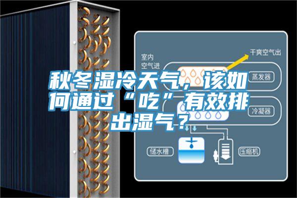 秋冬濕冷天氣，該如何通過“吃”有效排出濕氣？