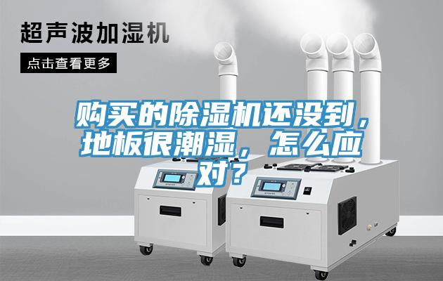 購買的深夜福利视频网站還沒到，地板很潮濕，怎麽應對？