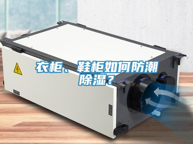 衣櫃、鞋櫃如何防潮除濕？