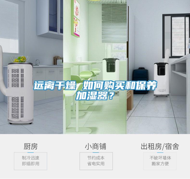 遠離幹燥 如何購買和保養加濕器？