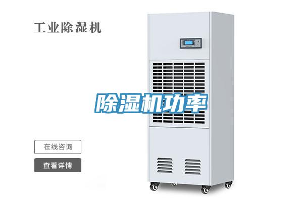 深夜福利视频网站功率