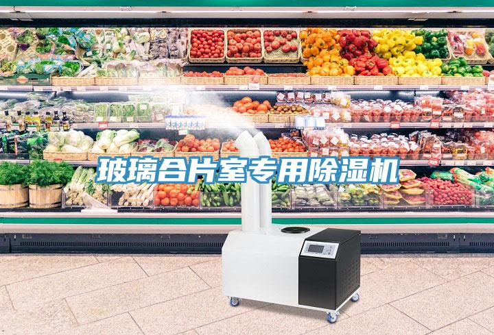 玻璃合片室專用深夜福利视频网站