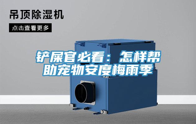 鏟屎官必看：怎樣幫助寵物安度梅雨季