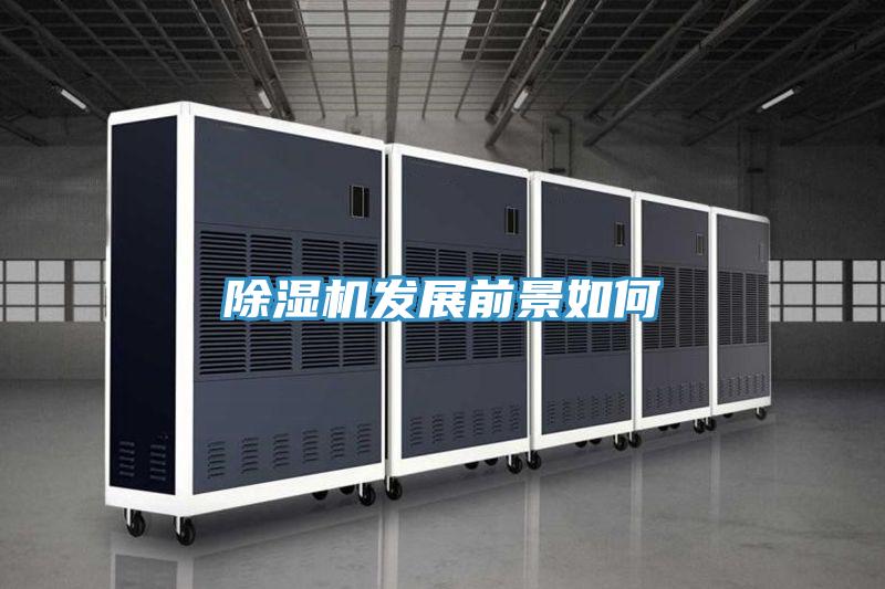 深夜福利视频网站發展前景如何