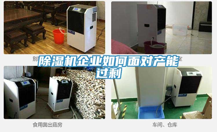 深夜福利视频网站企業如何麵對產能過剩