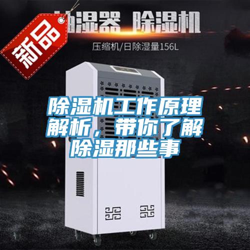 深夜福利视频网站工作原理解析，帶你了解除濕那些事