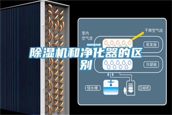 深夜福利视频网站和淨化器的區別