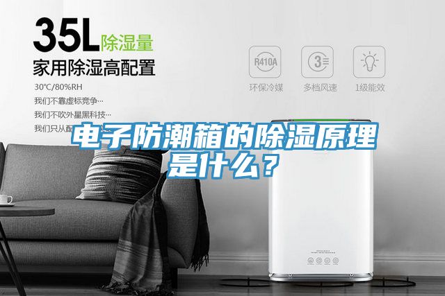 電子防潮箱的除濕原理是什麽？
