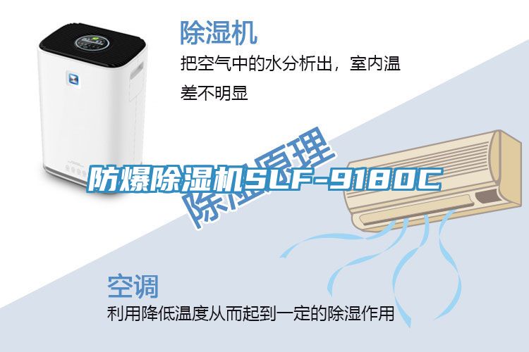 防爆深夜福利视频网站SLF-9180C