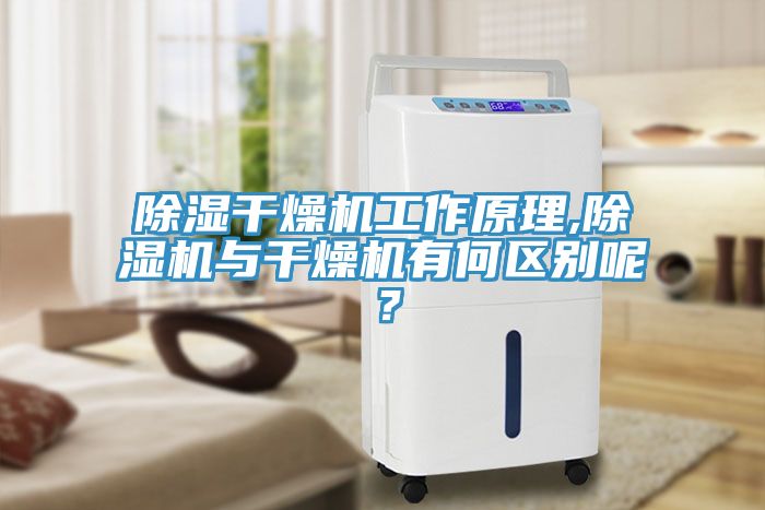 除濕幹燥機工作原理,深夜福利视频网站與幹燥機有何區別呢？
