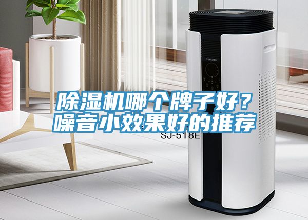 深夜福利视频网站哪個牌子好？噪音小效果好的推薦