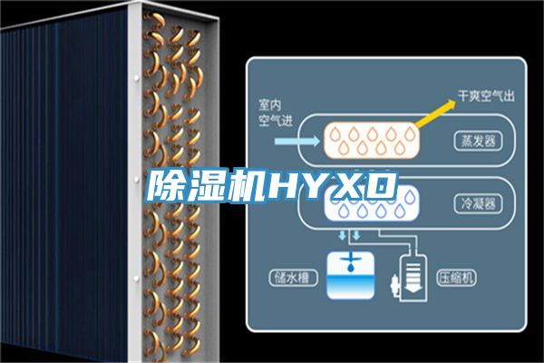深夜福利视频网站HYXD