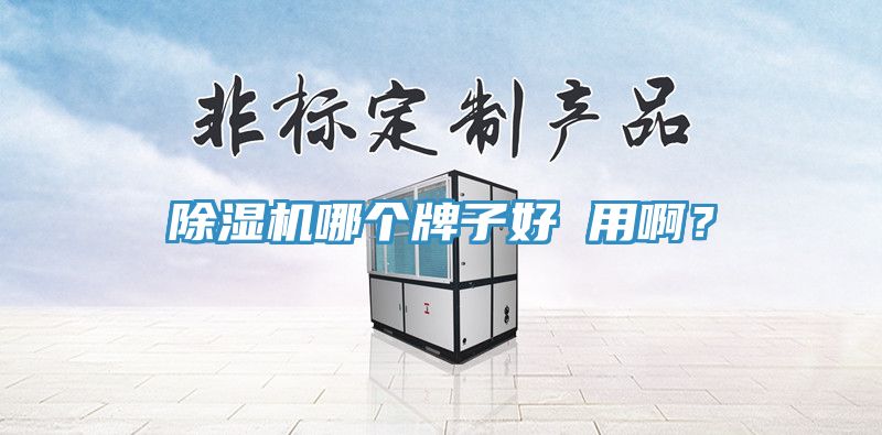 深夜福利视频网站哪個牌子好 用啊？