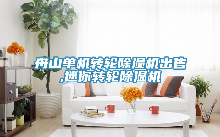 舟山單機轉輪深夜福利视频网站出售,迷你轉輪深夜福利视频网站