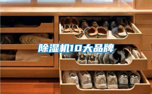 深夜福利视频网站10大品牌