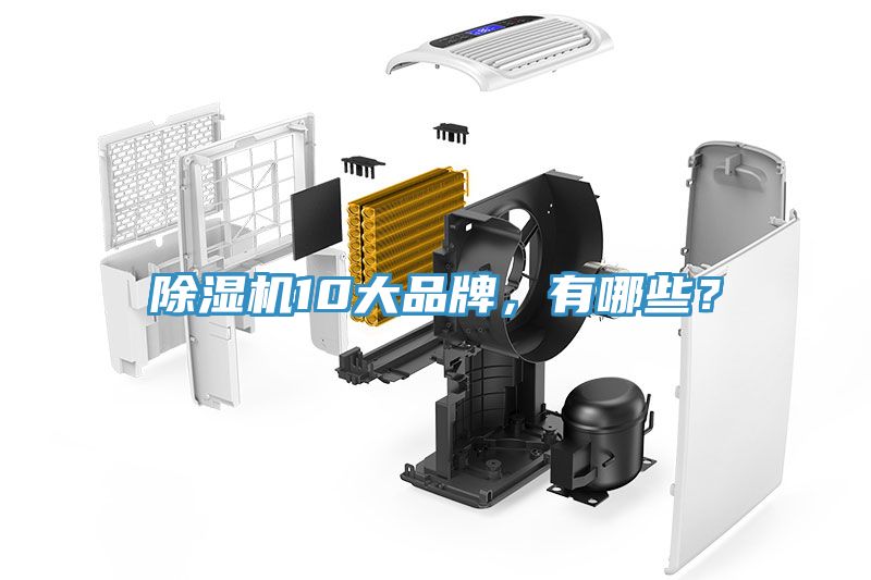 深夜福利视频网站10大品牌，有哪些？