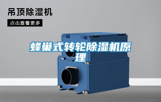 蜂巢式轉輪深夜福利视频网站原理