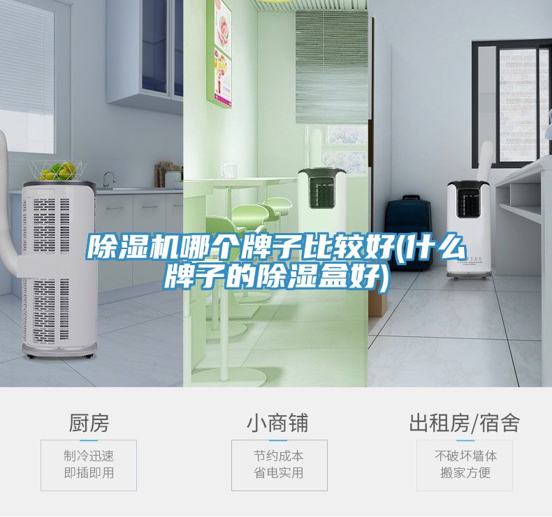深夜福利视频网站哪個牌子比較好(什麽牌子的除濕盒好)