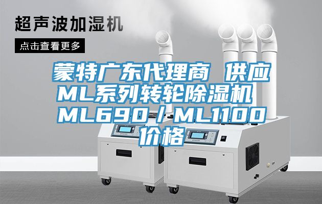 蒙特廣東代理商 供應ML係列轉輪深夜福利视频网站 ML690／ML1100價格