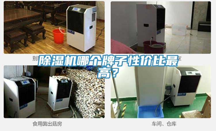 深夜福利视频网站哪個牌子性價比最高？