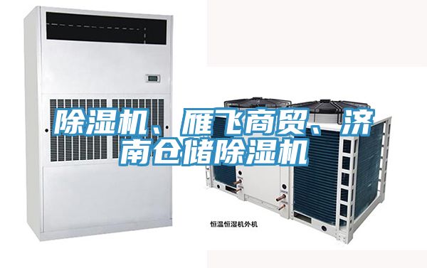 深夜福利视频网站、雁飛商貿、濟南倉儲深夜福利视频网站