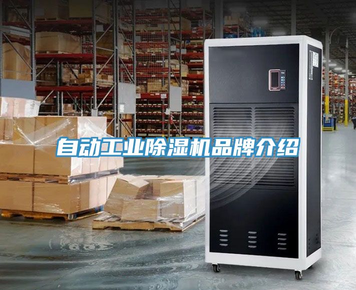 自動工業深夜福利视频网站品牌介紹