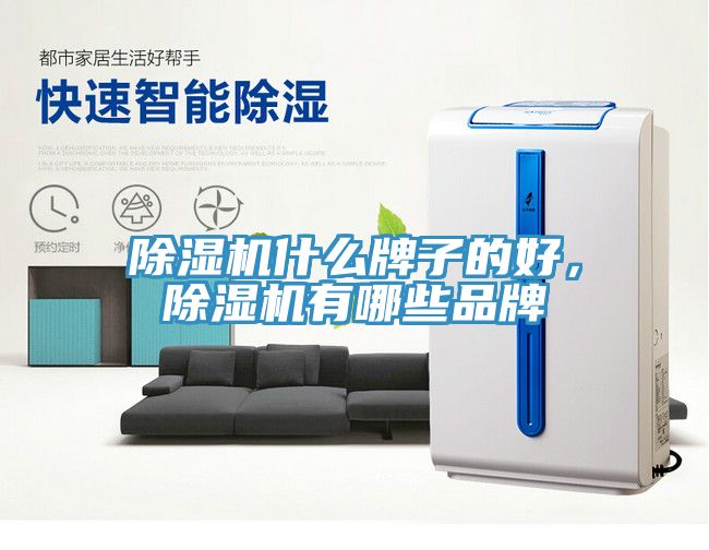 深夜福利视频网站什麽牌子的好，深夜福利视频网站有哪些品牌