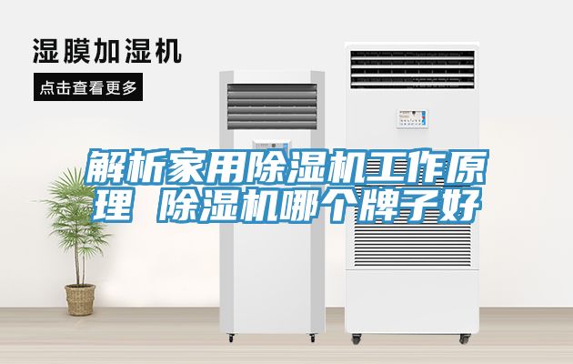 解析家用深夜福利视频网站工作原理 深夜福利视频网站哪個牌子好
