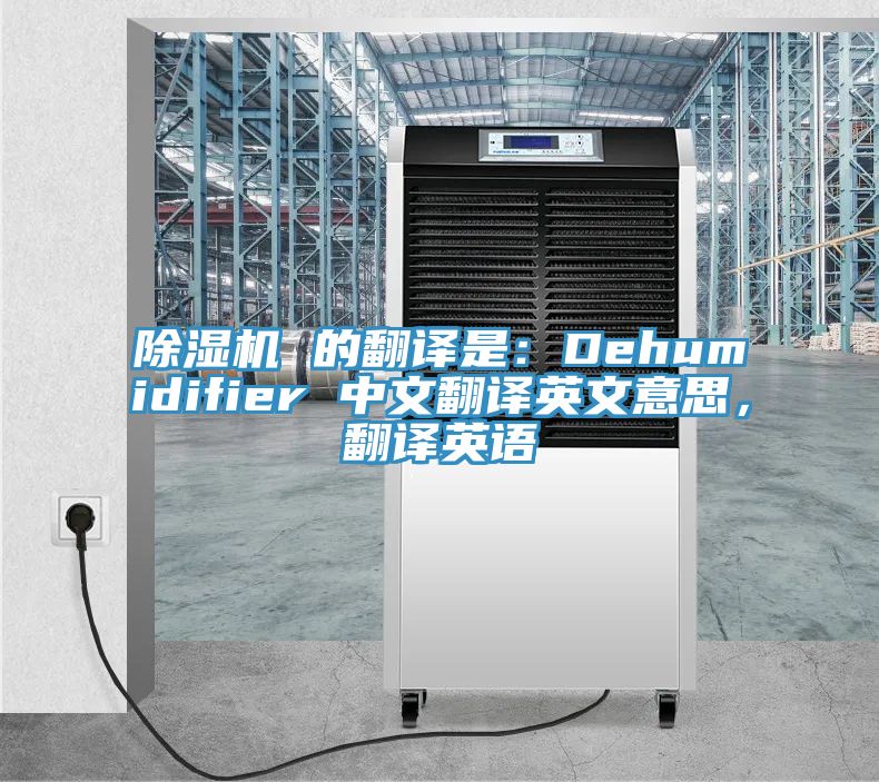 深夜福利视频网站 的翻譯是：Dehumidifier 中文翻譯英文意思，翻譯英語