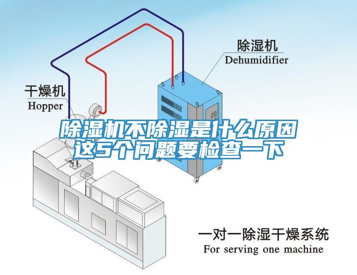 深夜福利视频网站不除濕是什麽原因這5個問題要檢查一下