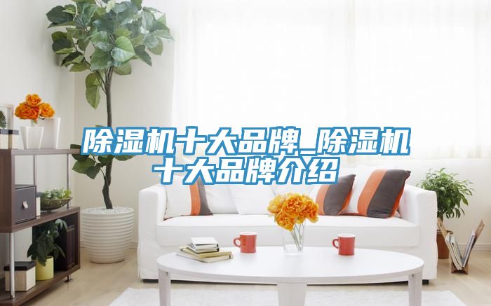 深夜福利视频网站十大品牌_深夜福利视频网站十大品牌介紹