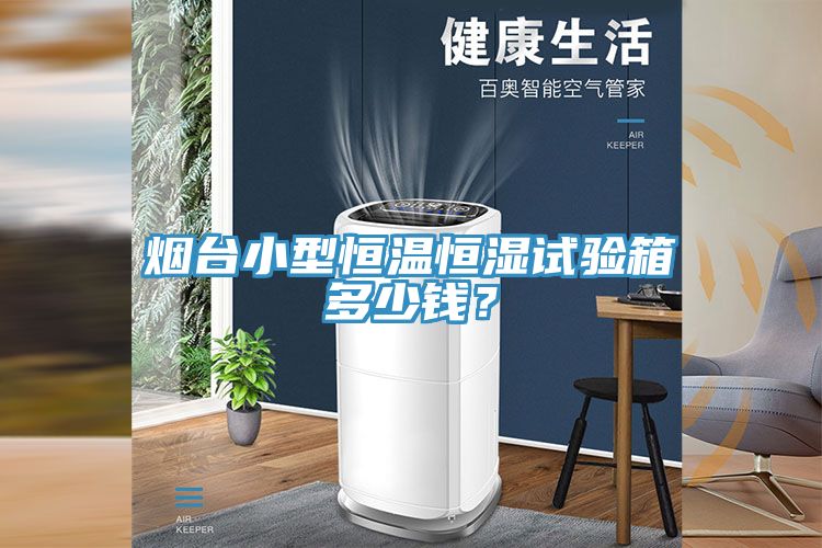煙台小型恒溫恒濕試驗箱多少錢？