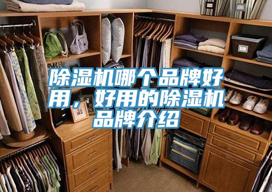 深夜福利视频网站哪個品牌好用，好用的深夜福利视频网站品牌介紹