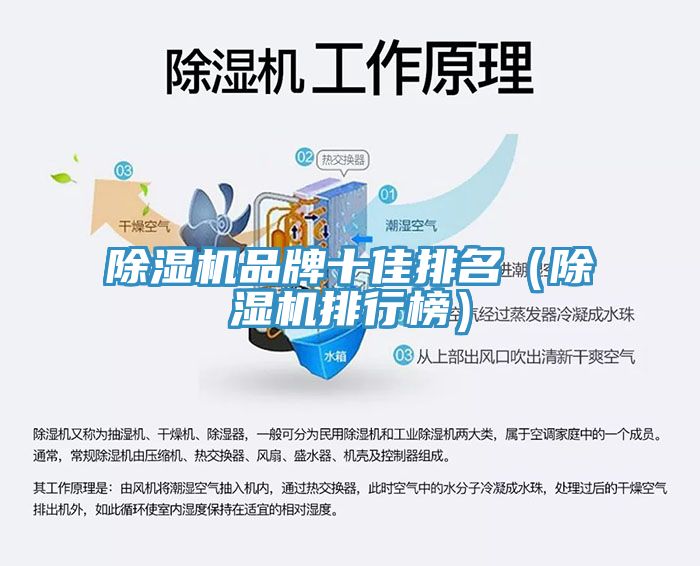 深夜福利视频网站品牌十佳排名（深夜福利视频网站排行榜）