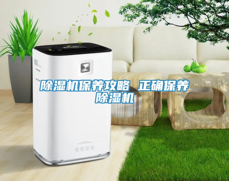 深夜福利视频网站保養攻略 正確保養深夜福利视频网站