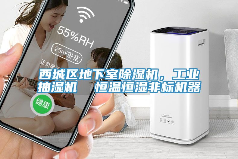 西城區地下室深夜福利视频网站，工業抽濕機  恒溫恒濕非標機器