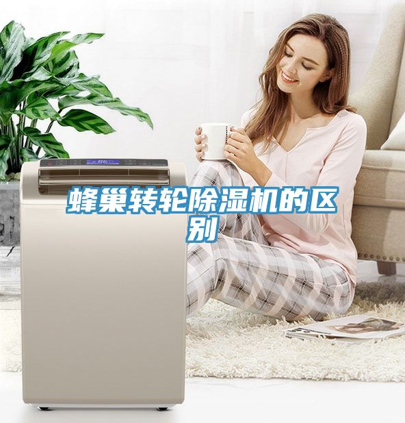蜂巢轉輪深夜福利视频网站的區別